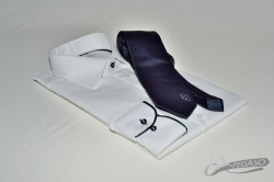 Abbinamento camicia e cravatta - Pegaso